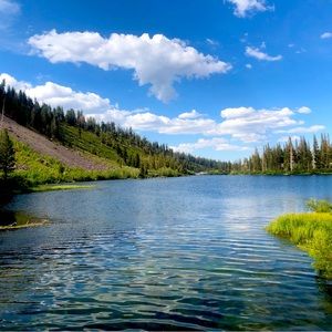 Meet your Posher, Lily